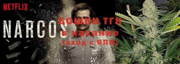 стафф Алексин