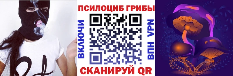 Купить где Борзя Псилоцибиновые грибы Psilocybe