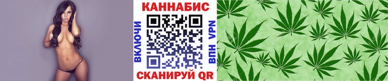 Купить закладки  Борзя  Канабис планчик 